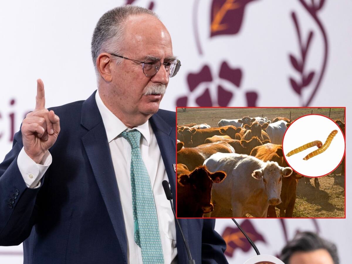 Julio Berdegué Sacristán (Sader) responsabiliza a EEUU por plaga del gusano barrenador en México. | Crédito: Presidencia/Canva