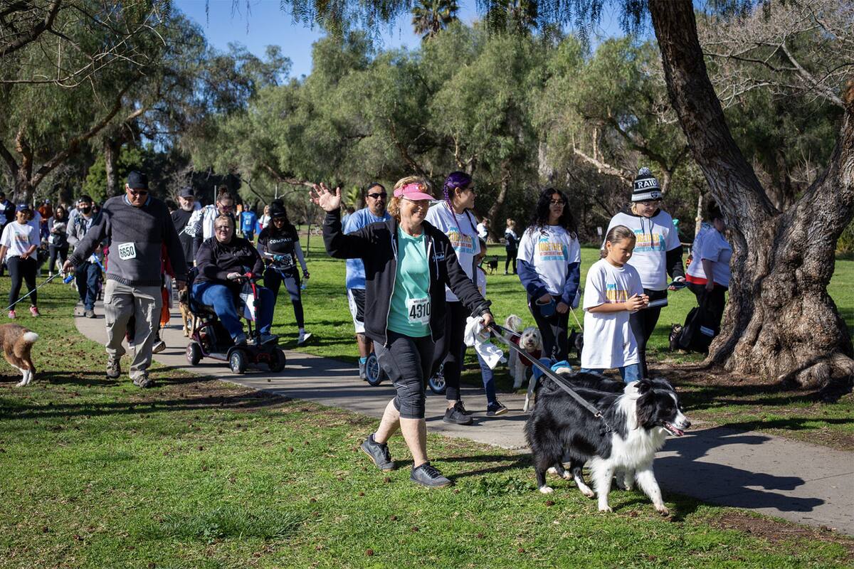 Invitan a caminata a favor de los animales en San Diego