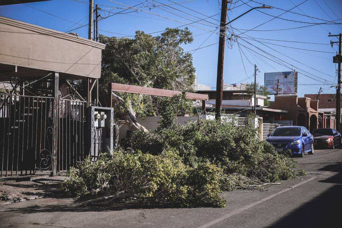 Sorprenden fuertes vientos a Mexicali este viernes