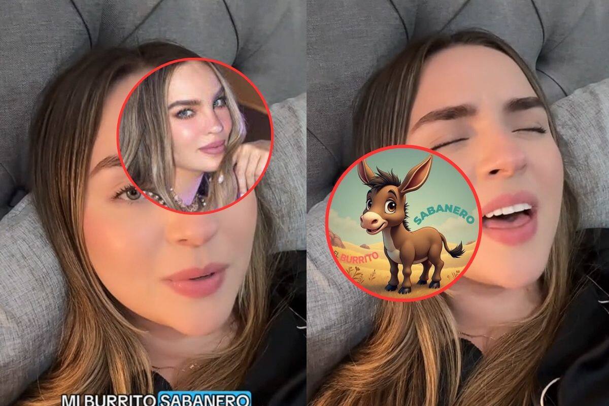 Así sonaría “Mi burrito sabanero” cantado por Belinda, según una influencer