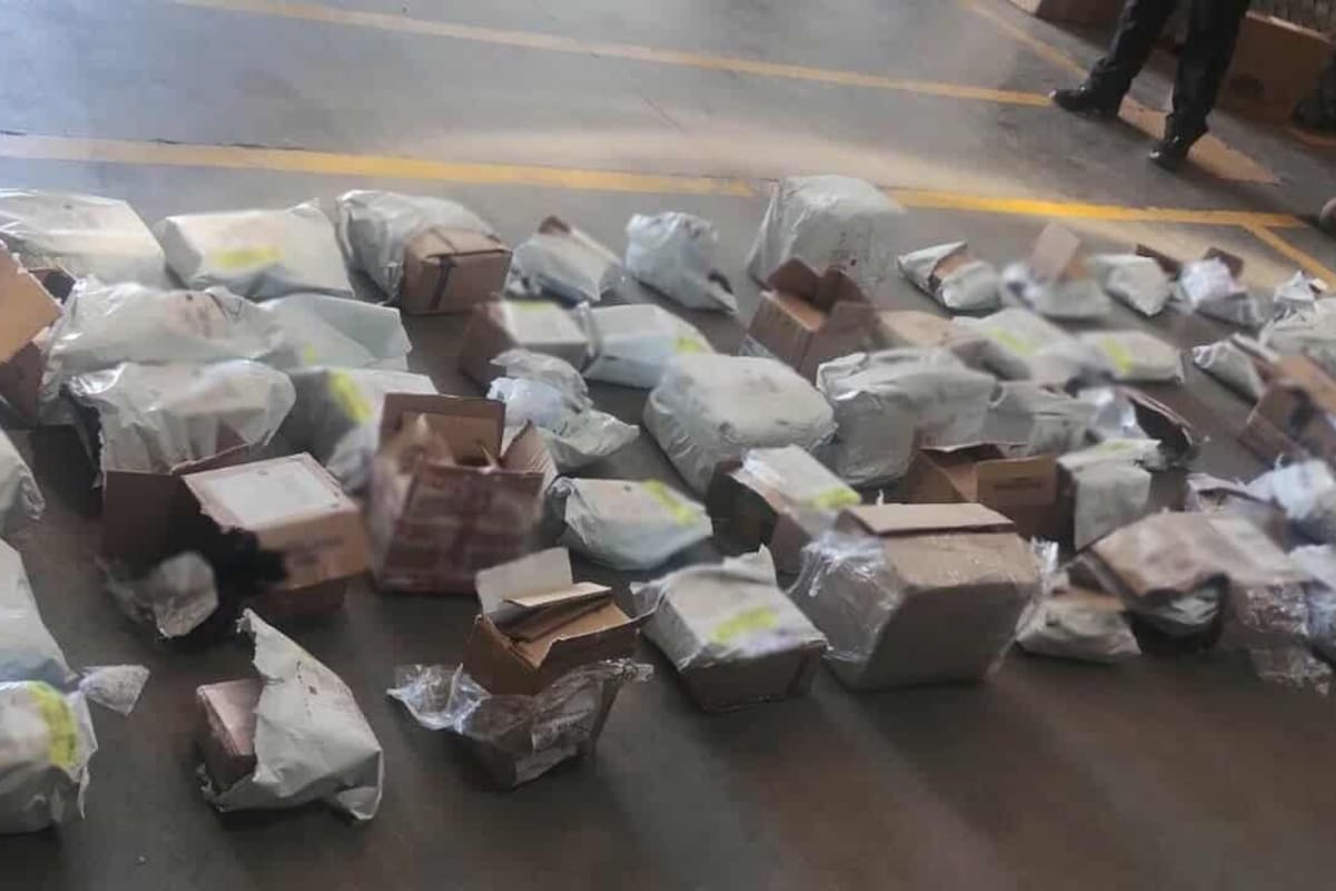 Decomisan 63 paquetes de droga en una empresa de paquetería en Sonora