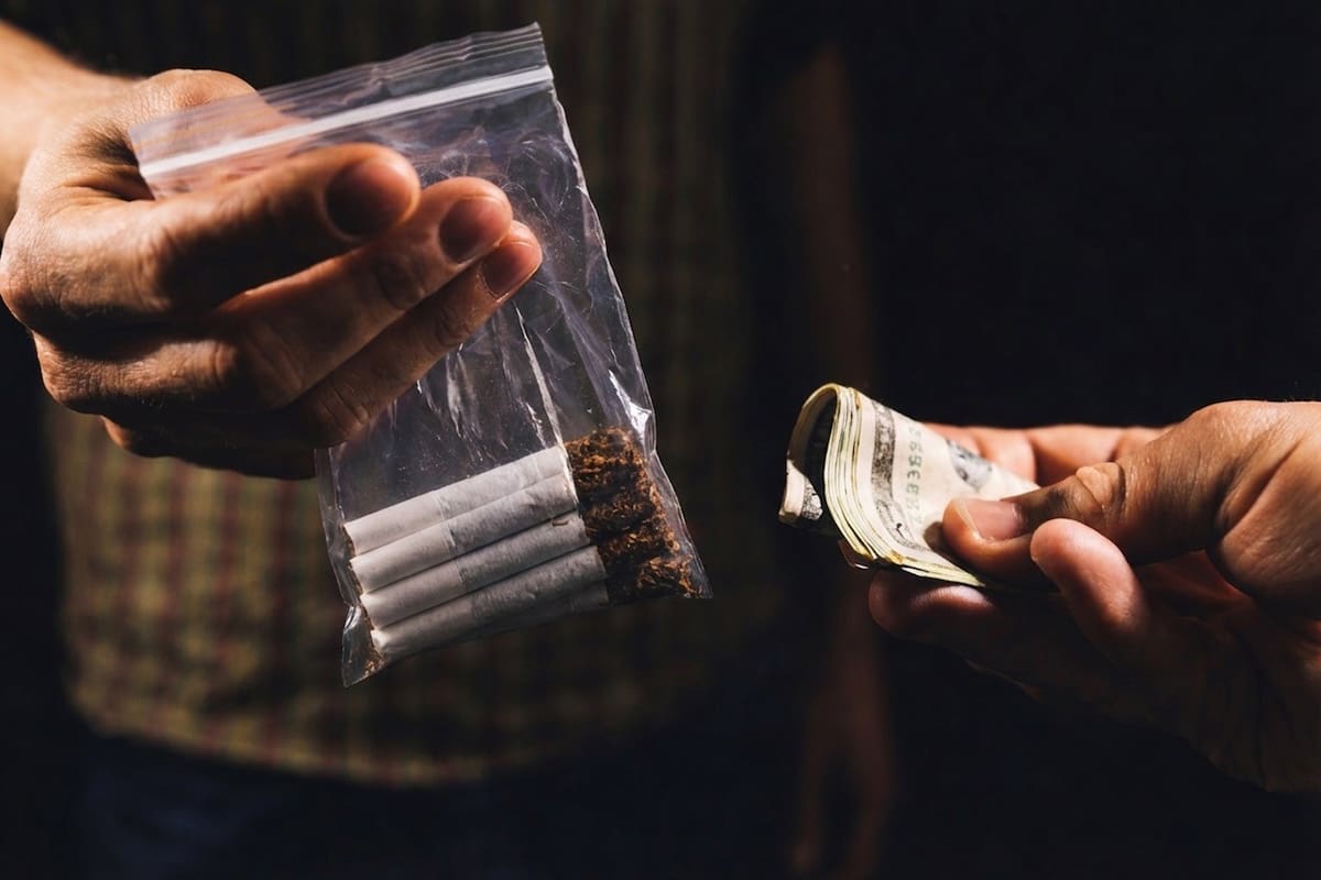 Lidera Baja California en consumo de drogas en el país