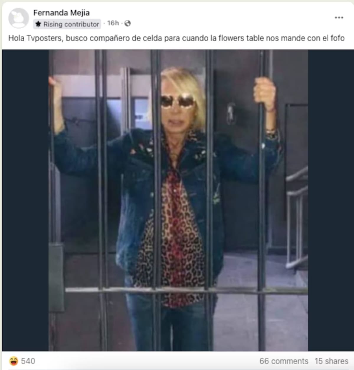 Miembros del grupo compartieron diversos memes sobre la situación legal con Florinda Meza. | Captura de pantalla: Facebook