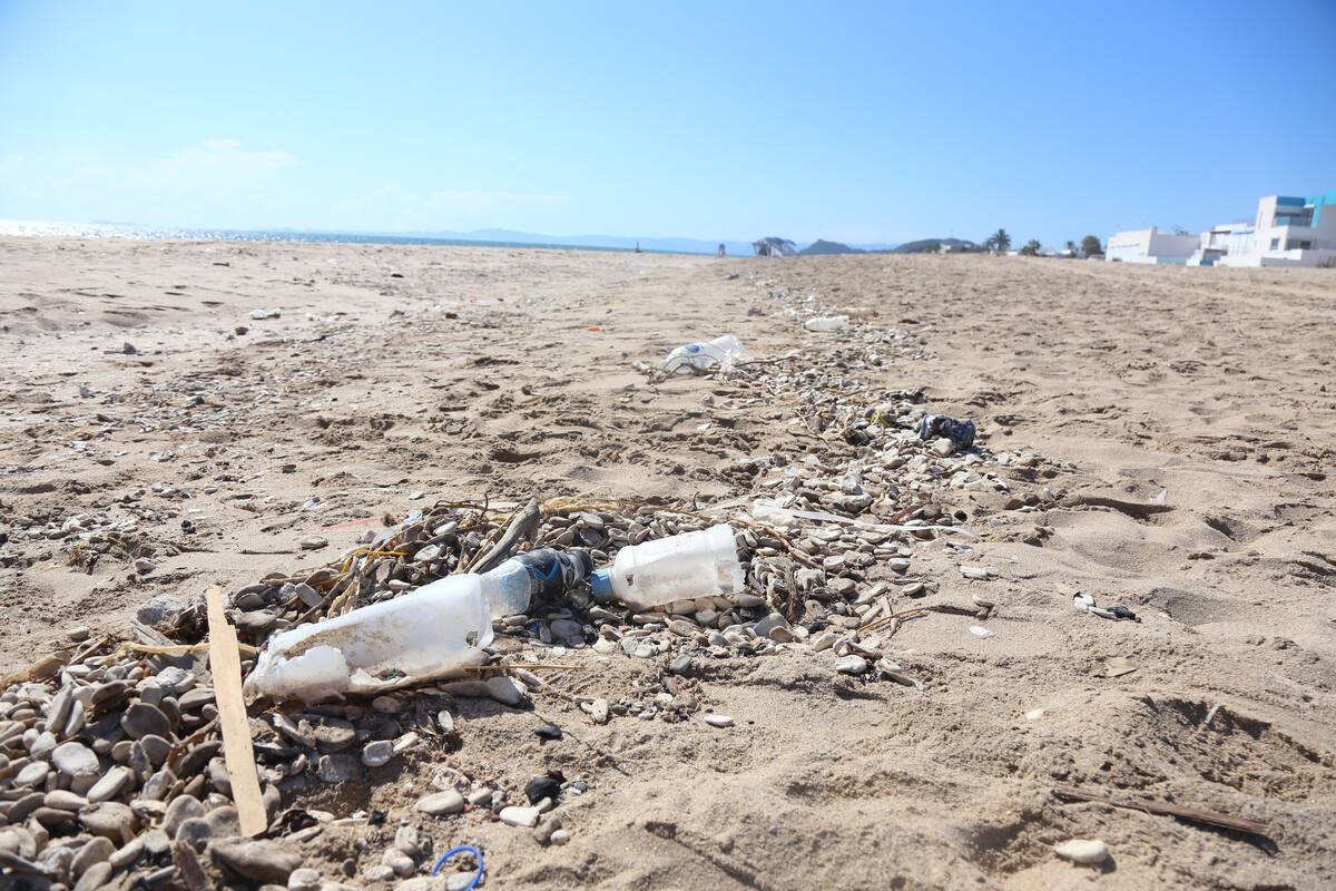 Invitan a hacer de Kino la playa más limpia y segura del País