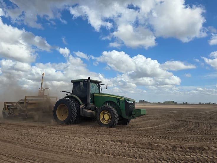 Agricultura en Sonora, bajo estrés: siembra del ciclo primavera-verano se reducirá hasta 30%