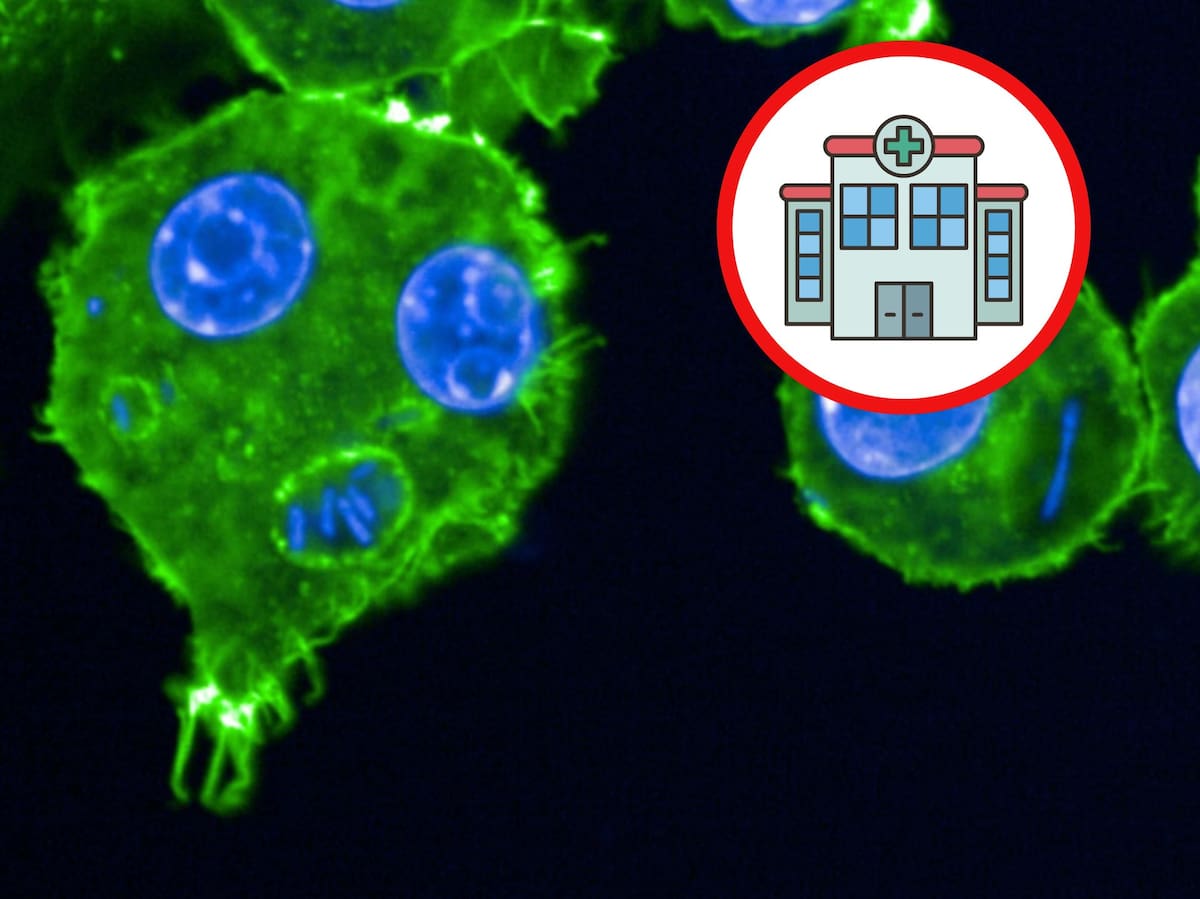 Una trabajadora del Instituto Antipeste de Irkutsk murió tras presentar síntomas graves. Foto: Canva/Josué Barquero & Anne Derbise, Unité Yersinia, Institut Pasteur (2024)