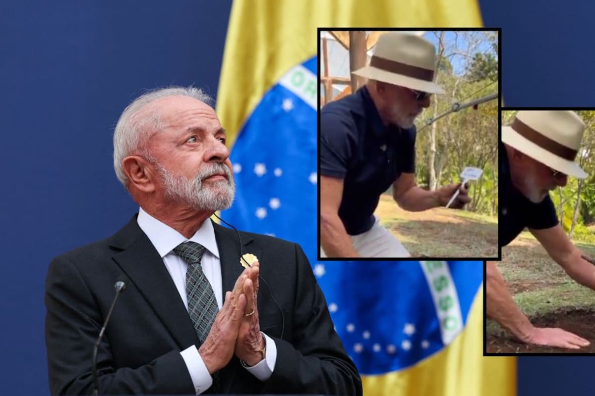Cultivando uvas, Lula da Silva invita a Trump a conocer “el verdadero Brasil” y asegura que está abierto al diálogo; cuando el presidente esté listo “no dudará en llamarlo”