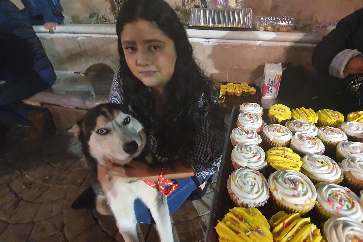 Yoselín vende cupcakes para tratar cáncer de su mascota