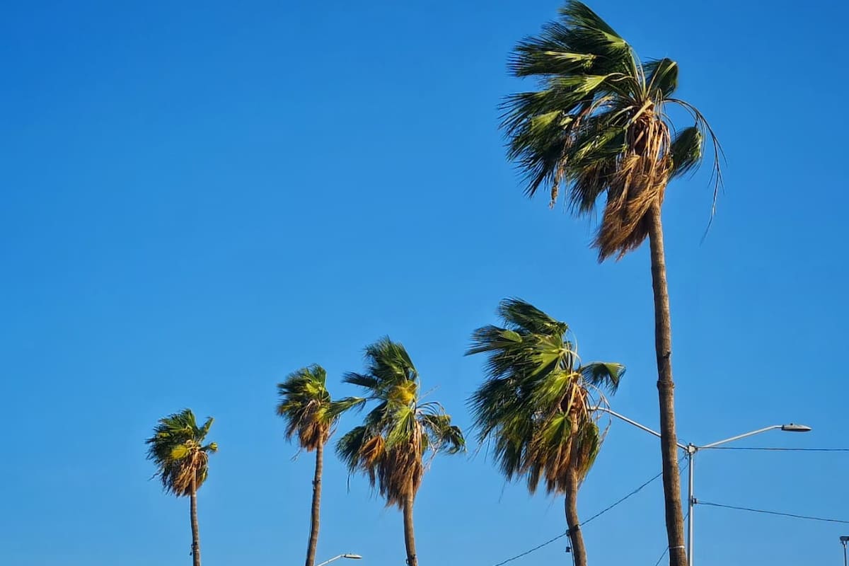 Persistirá el calor extremo esta semana en SLRC; prevén máximas de hasta 43° C