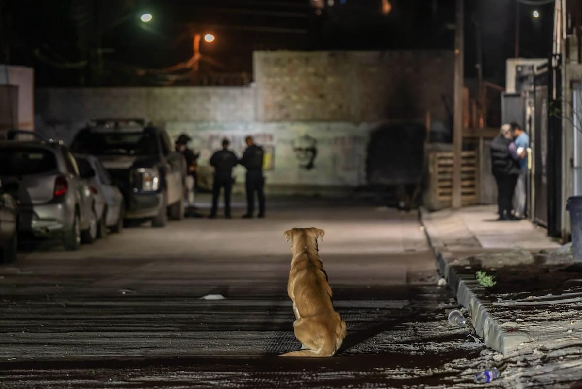 La víctima fue localizada con lesiones por proyectil de arma de fuego dentro de un predio; paramédicos de Cruz Roja intentaron reanimarlo, pero fue declarado sin vida. Foto: Border Zoom