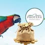 Profepa confirma que multarán con más de medio millón de pesos y hasta 9 años de prisión a quienes tengan loros, pericos o guacamayas nativas como mascota en 2026