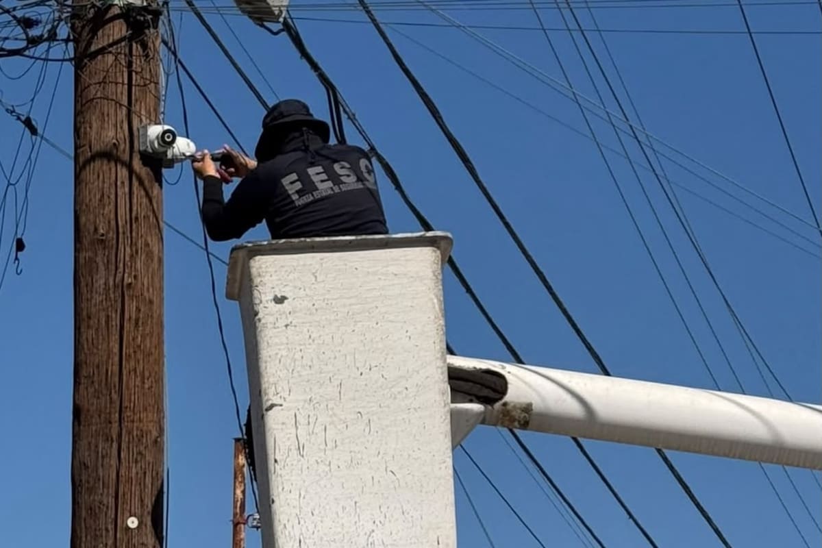 Retiran 17 cámaras instaladas ilegalmente en postes de telefonía en tres colonias de Mexicali