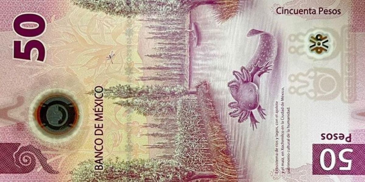 Billete del ajolote