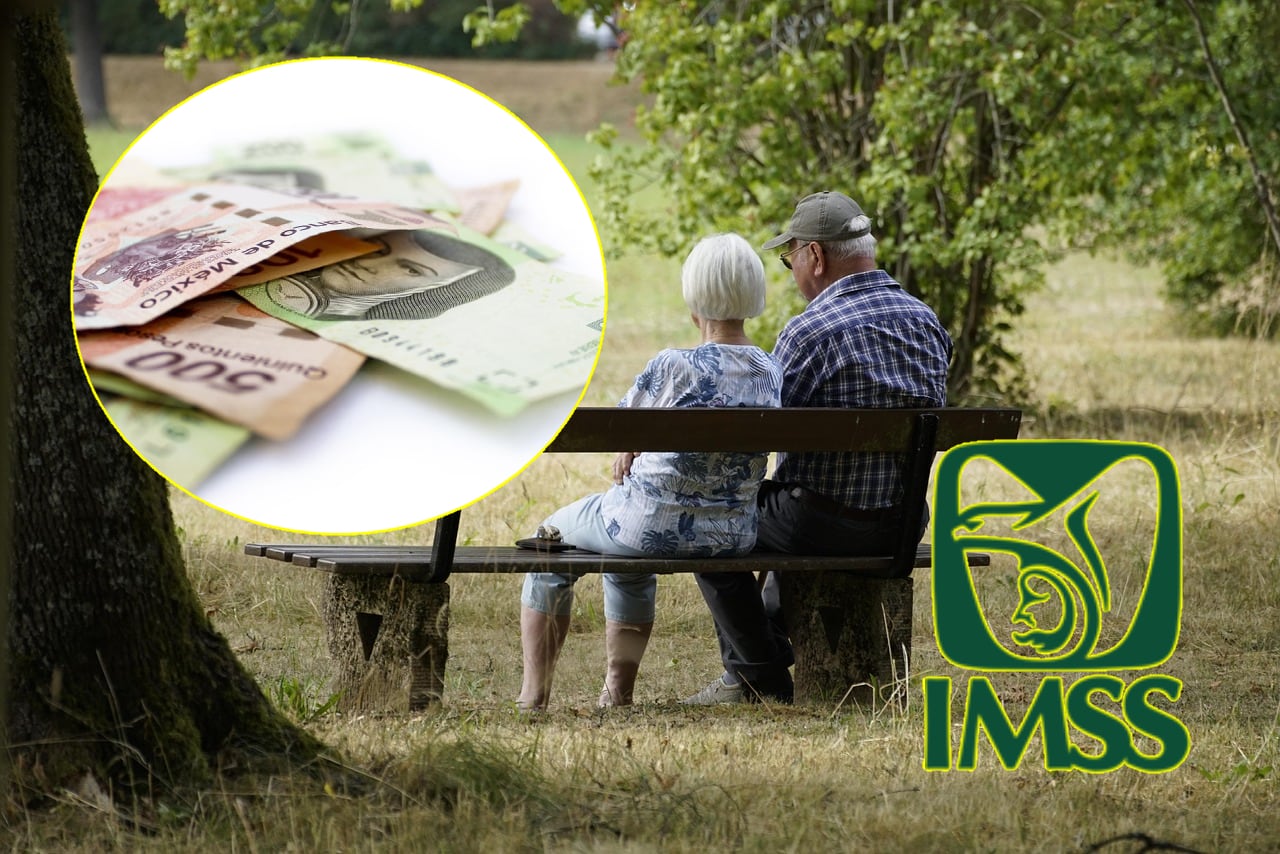 No es posible heredar una pensión del IMSS mediante testamento, pues solo los derechohabientes (esposao, hijos menores, etc.) pueden recibir beneficios tras el fallecimiento.