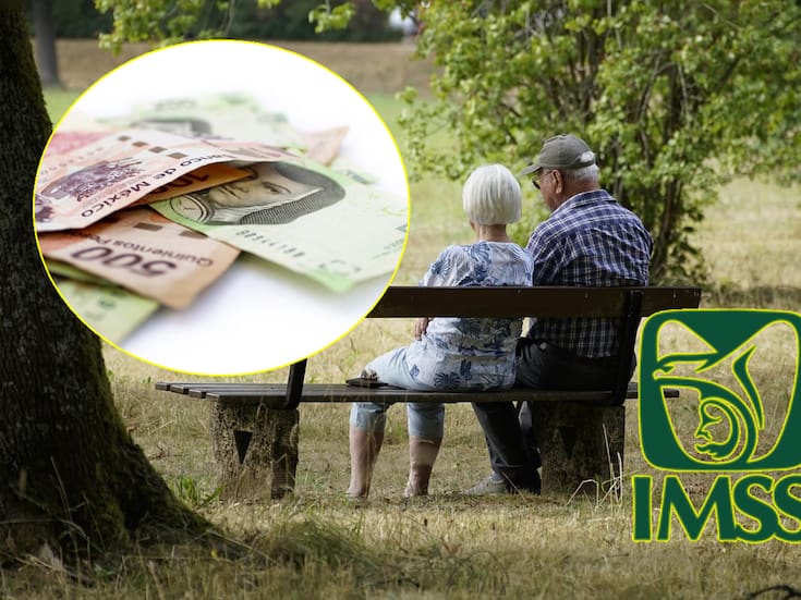 La SCJN abre la puerta a tíos, hermanos y otros parientes para cobrar la pensión del IMSS de un familiar fallecido