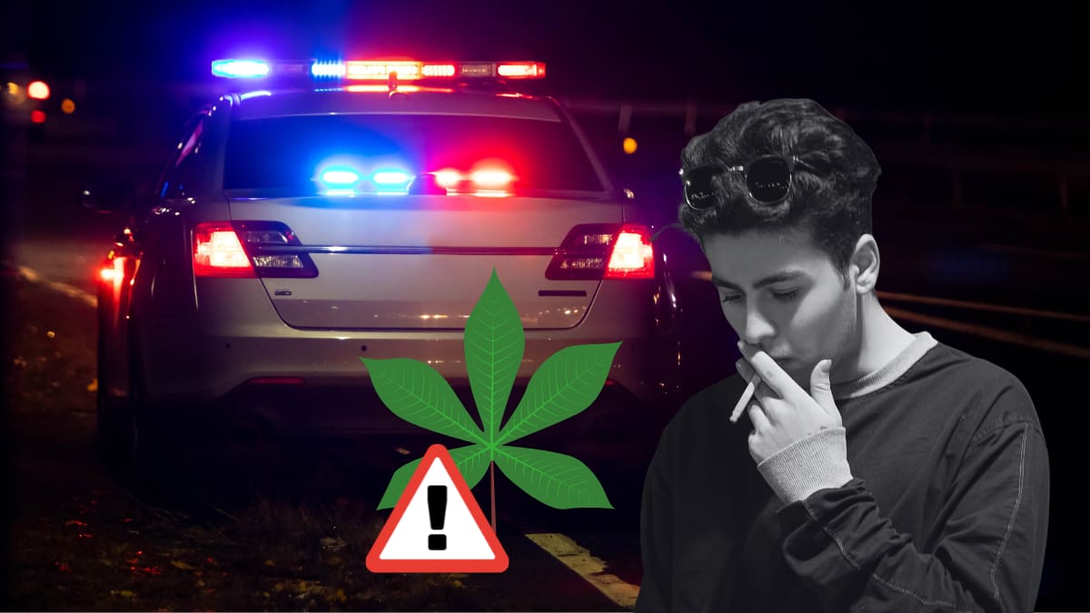 Cuatro adolescentes de 16 años fueron detenidos con presunta marihuana en San Benito