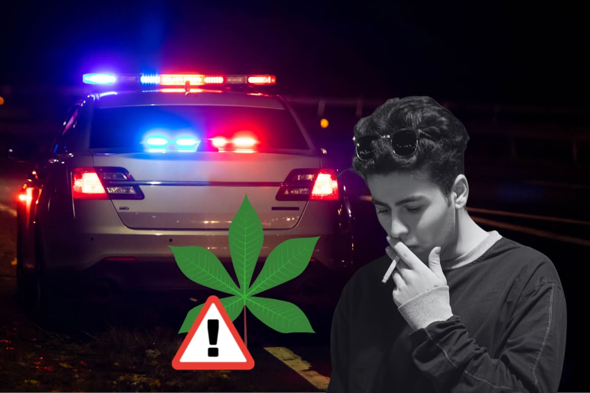 Cuatro adolescentes de 16 años fueron detenidos con presunta marihuana en San Benito