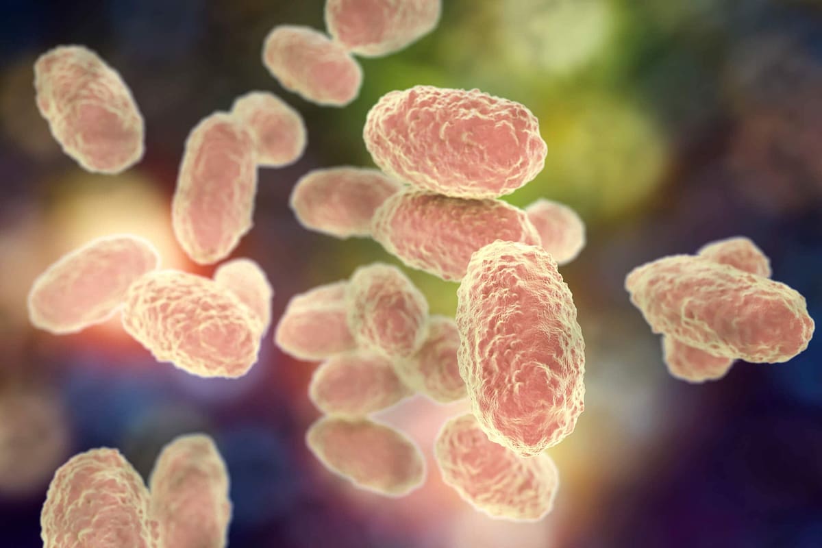 ¿Qué es la Tos Ferina? Alarma por incremento en las infecciones