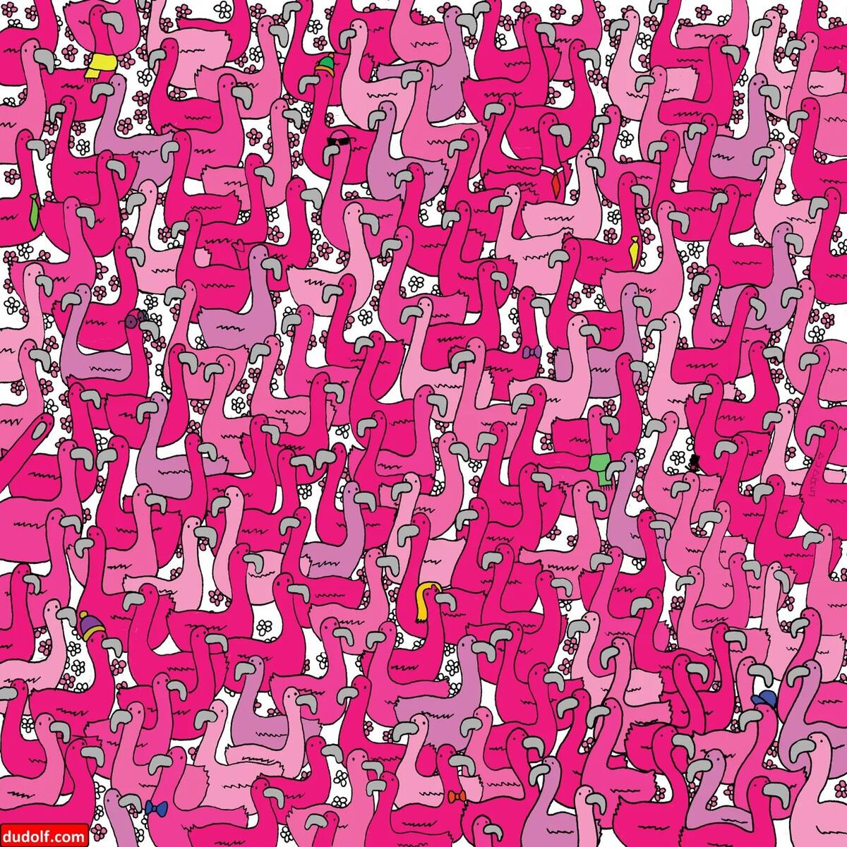 Encuentra el pequeño corazón rosa que está entre los flamingos.