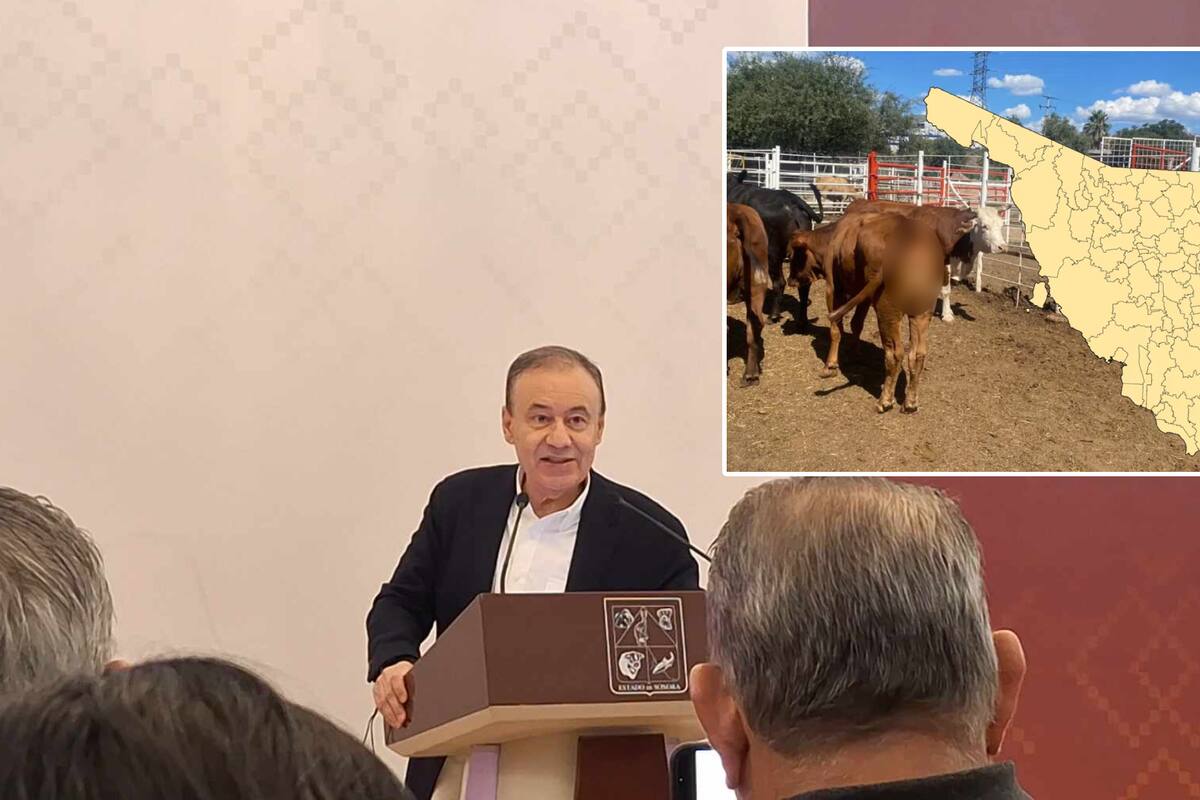 Sonora sería el primer estado al que reabran exportación de ganado a EU: Durazo