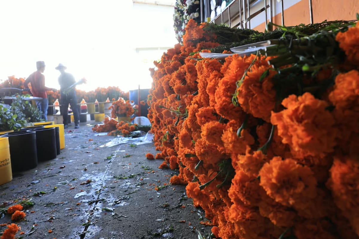 Comerciantes del Centro de Tijuana se preparan para vender flor de cempasúchil. Foto: Sergio Ortiz