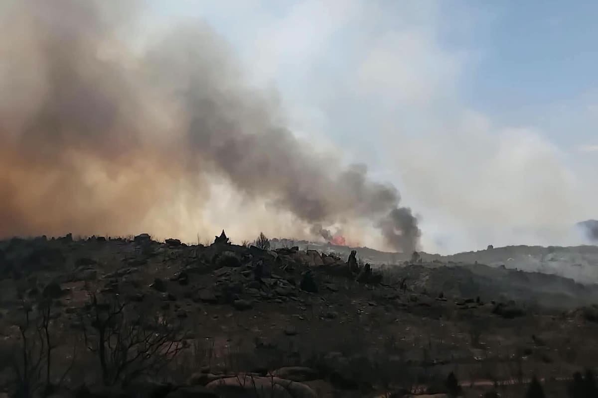 Incendio forestal en Sierra de Juárez sigue activo