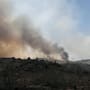 Incendio forestal en Sierra de Juárez sigue activo