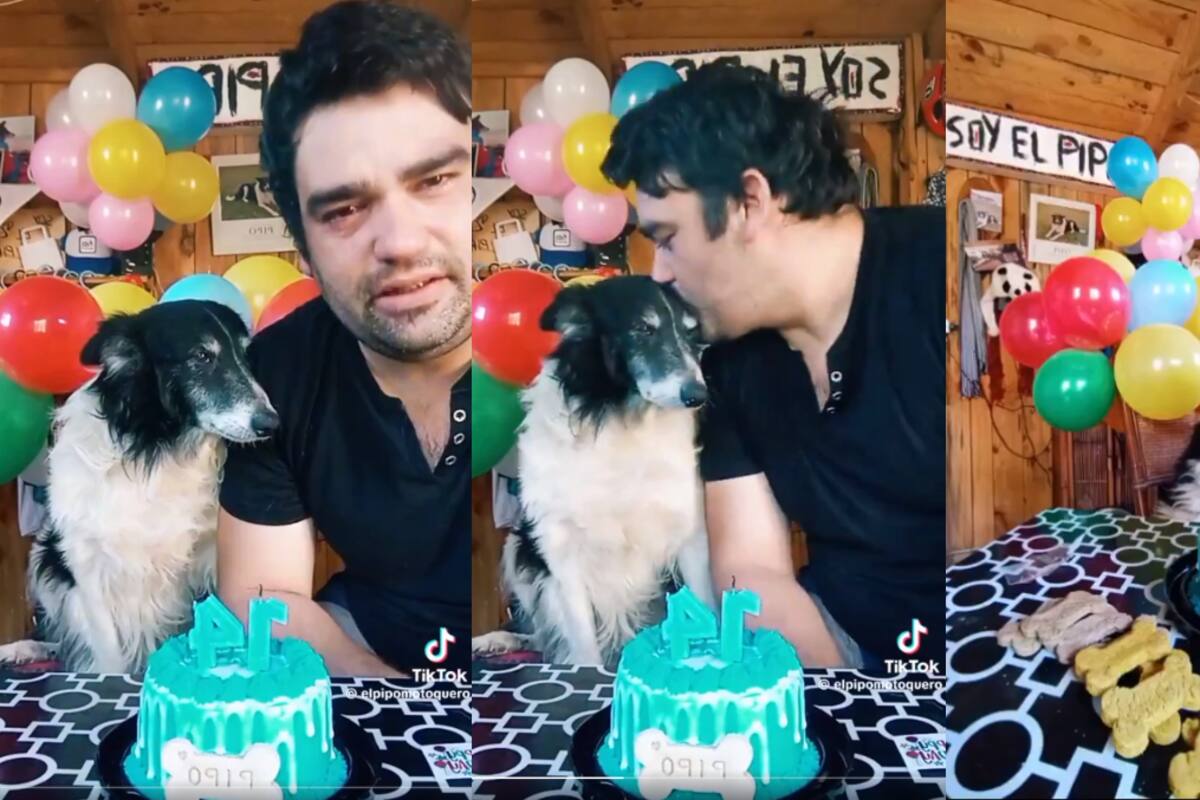 VIRAL: hombre conmueve a todos en redes sociales al felicitar a su perro “Pipo” por cumplir 14 años