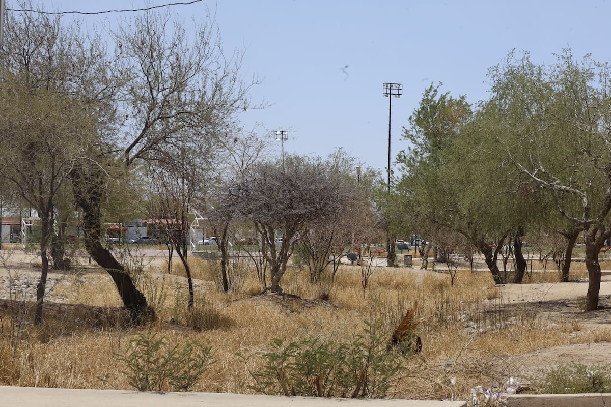 El parque que está por los bulevares Pueblo Nuevo y Agustín Zamora, donde detuvieron a los jóvenes macheteros, es el mismo donde asedian a los estudiantes de la escuela Secundaria General número 12. FOTO: REDACCIÓN GH