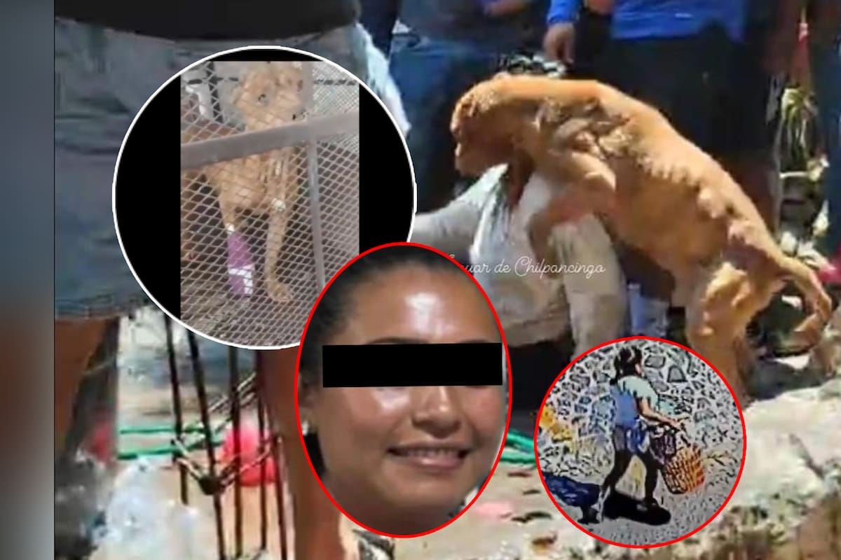 Perro de secuestradora de Camila la defendió en linchamiento y resultó herido
