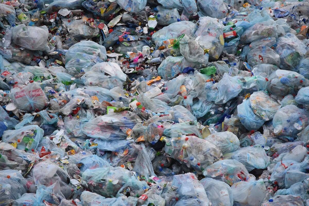 Sedema pide a productores respetar prohibición de bolsas de plástico
