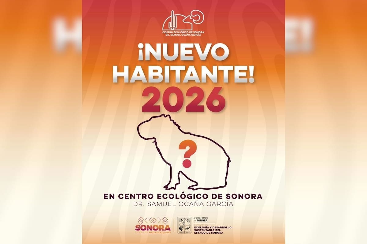 ¡Gran sorpresa en el Centro Ecológico!: un capibara se une a la familia en 2026