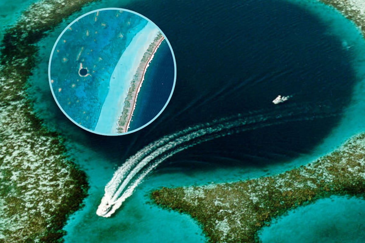 Llegan al fondo del Gran Agujero Azul por primera vez y así luce el cráter marino entre México y Belice