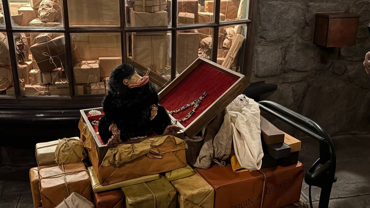 Los fanáticos de Harry Potter también encontrarán nuevos artículos y hasta platillos de comida inspirados en este universo.