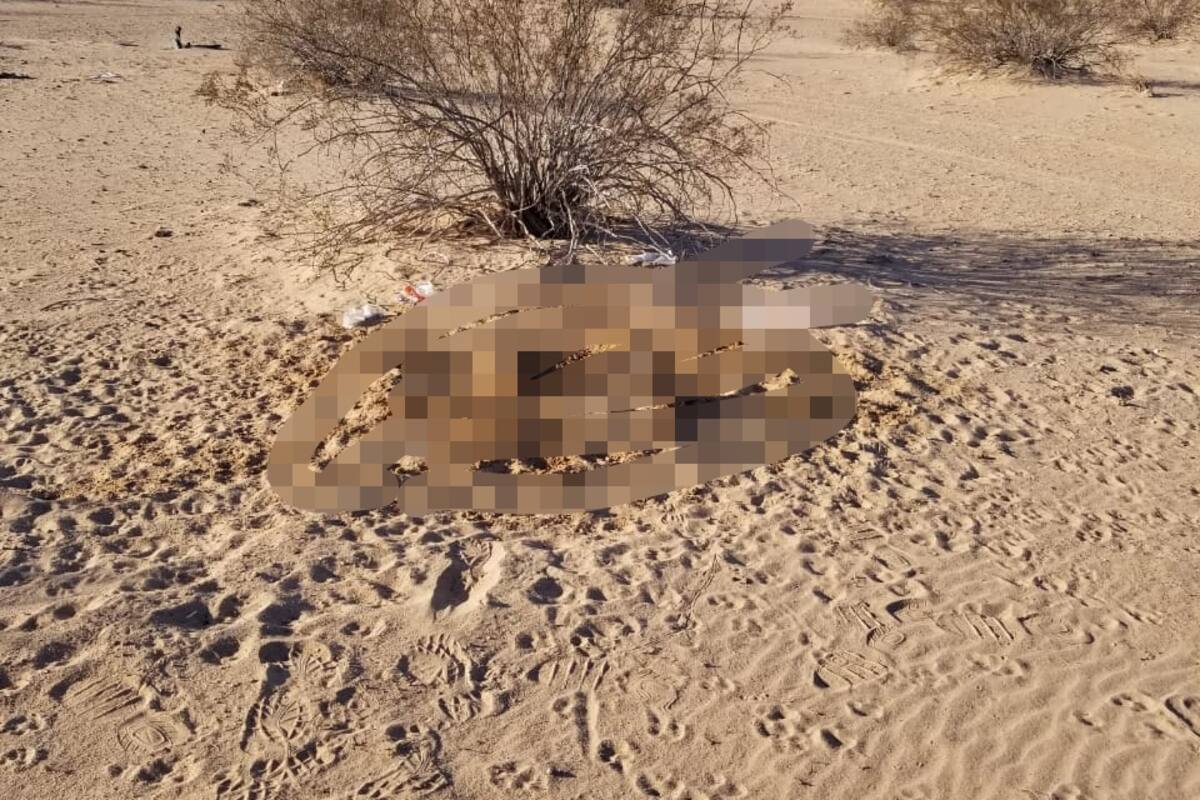 Localizan cuerpo en zona desértica de SLRC