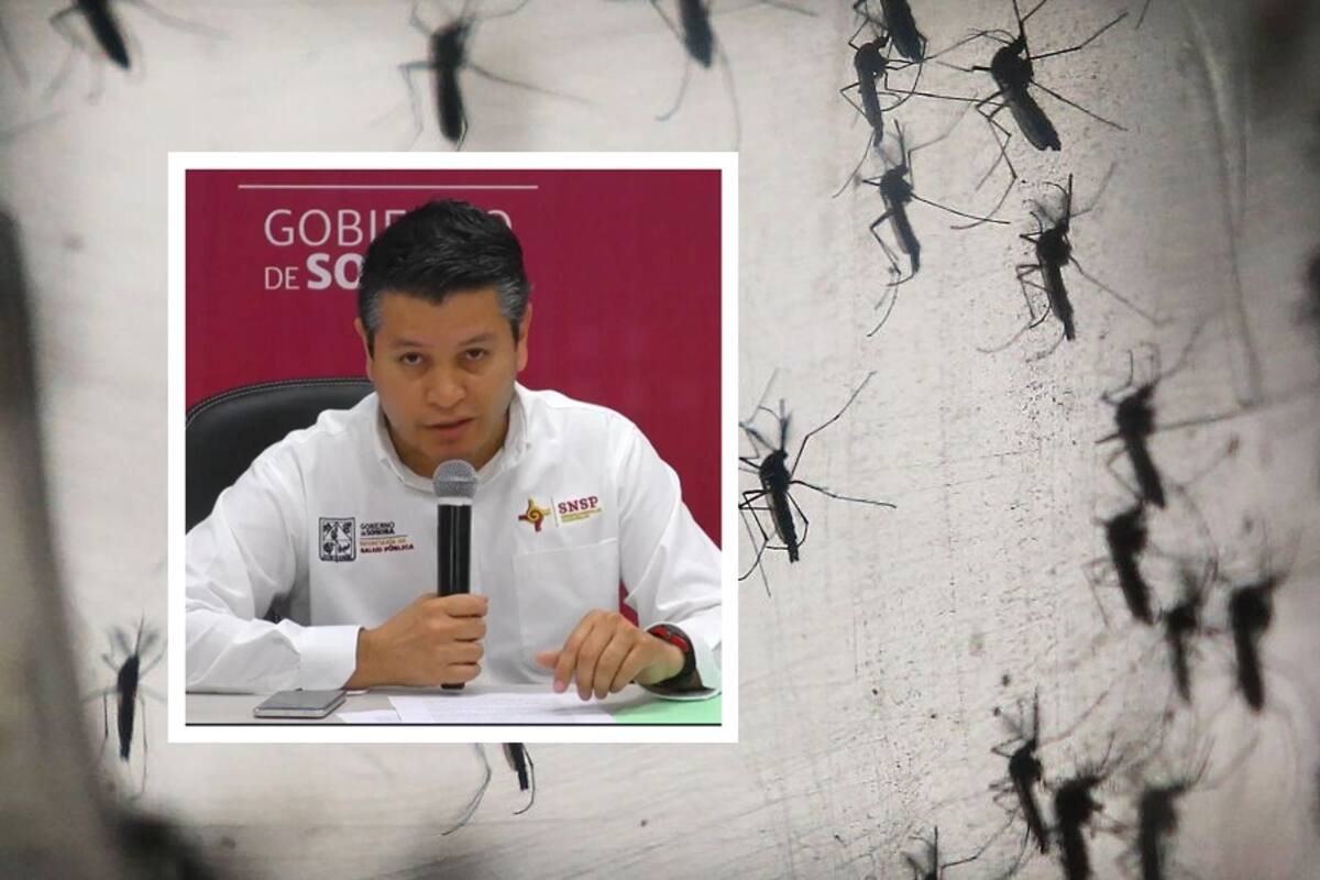 Tiene San Miguel de Horcasitas brote activo de dengue: Salud
