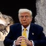 ¿Los ganaderos podrán matar lobos en EU? Esto dice la nueva orden firmada por Trump