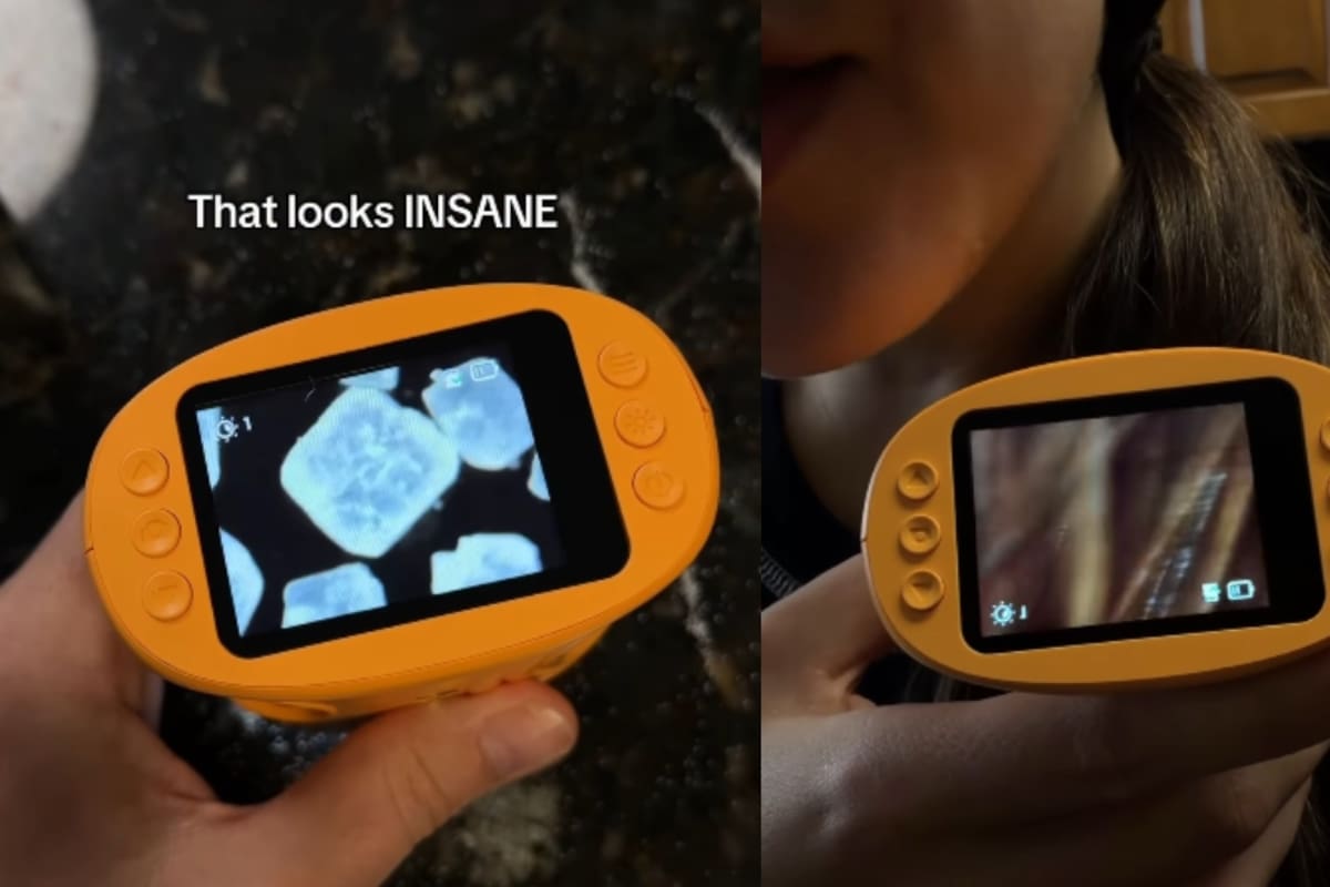 “Puede ver los cristales de la sal y el cabello por hilos”: Madre descubre que uno de los juguetes de su hijo es un sorprendente microscopio funcional.