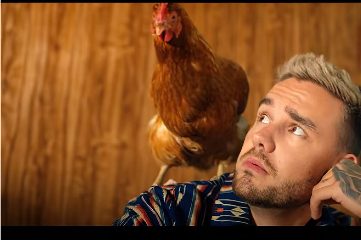 ¡Está de regreso! Liam Payne estrena su sencillo “Sunshine”