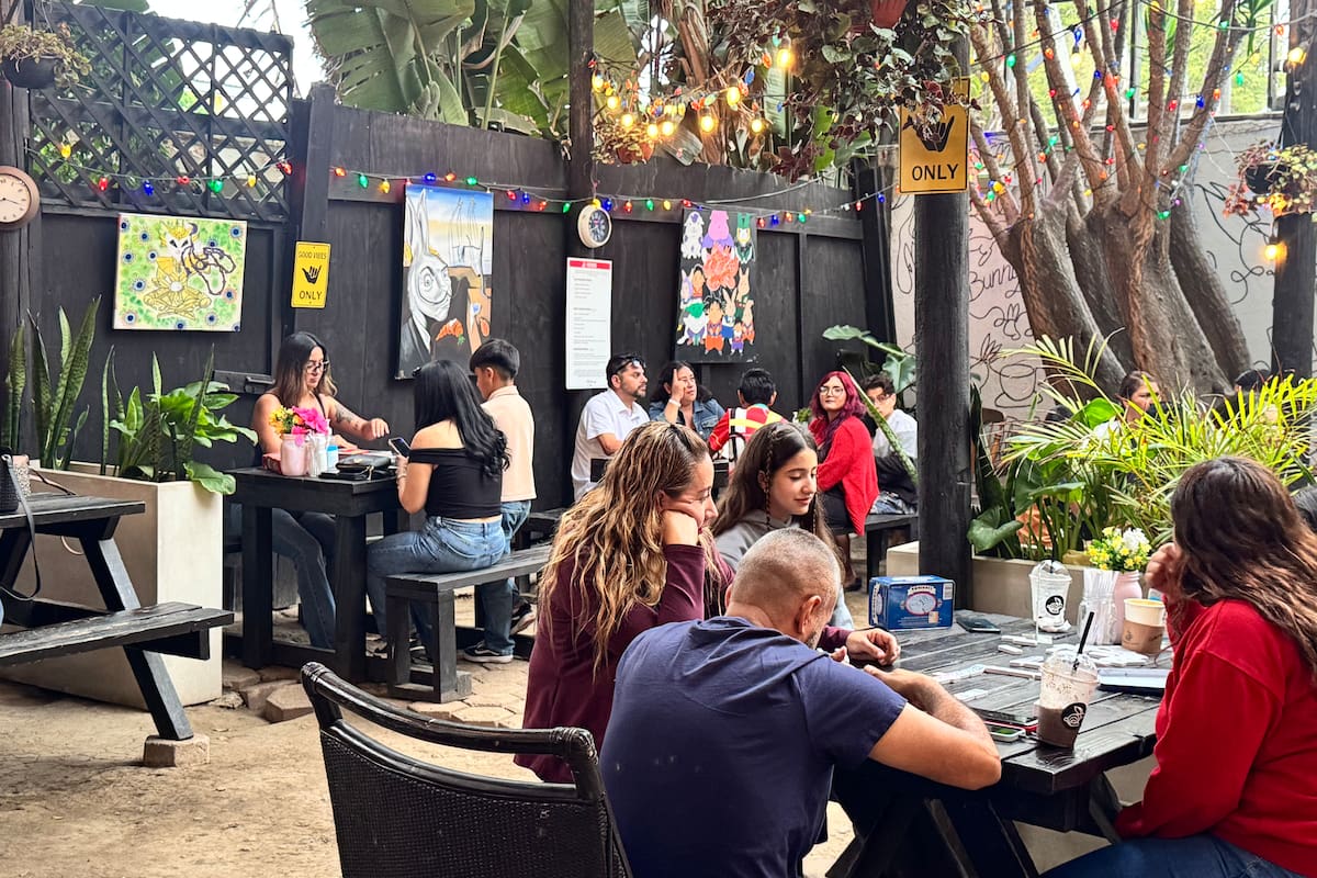 El Patio del Conejo: un emprendimiento de café y cuidado animal