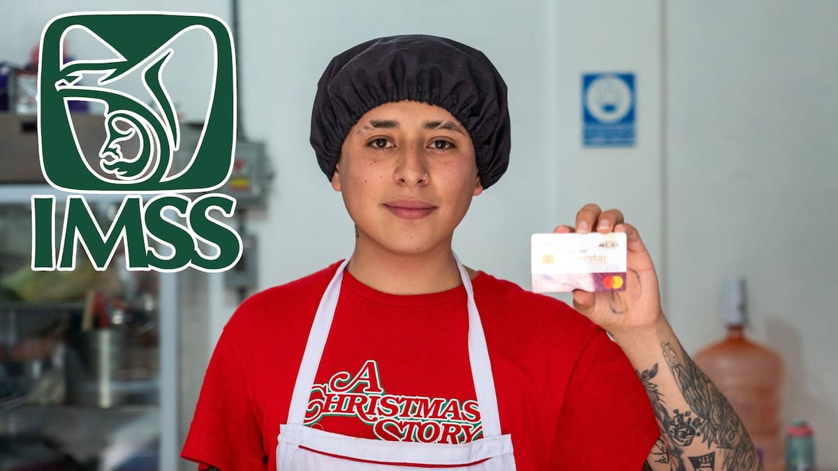 Jóvenes Construyendo el Futuro: ¿Cómo verificar la activación del IMSS y qué prestaciones se obtienen?