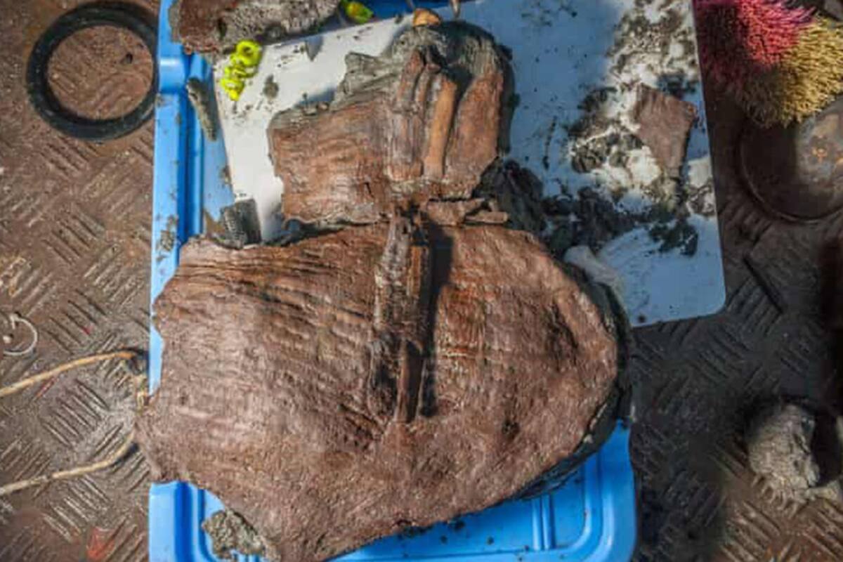Arqueólogos encuentran cestas de frutas del siglo IV a.C. entre ruinas en Egipto