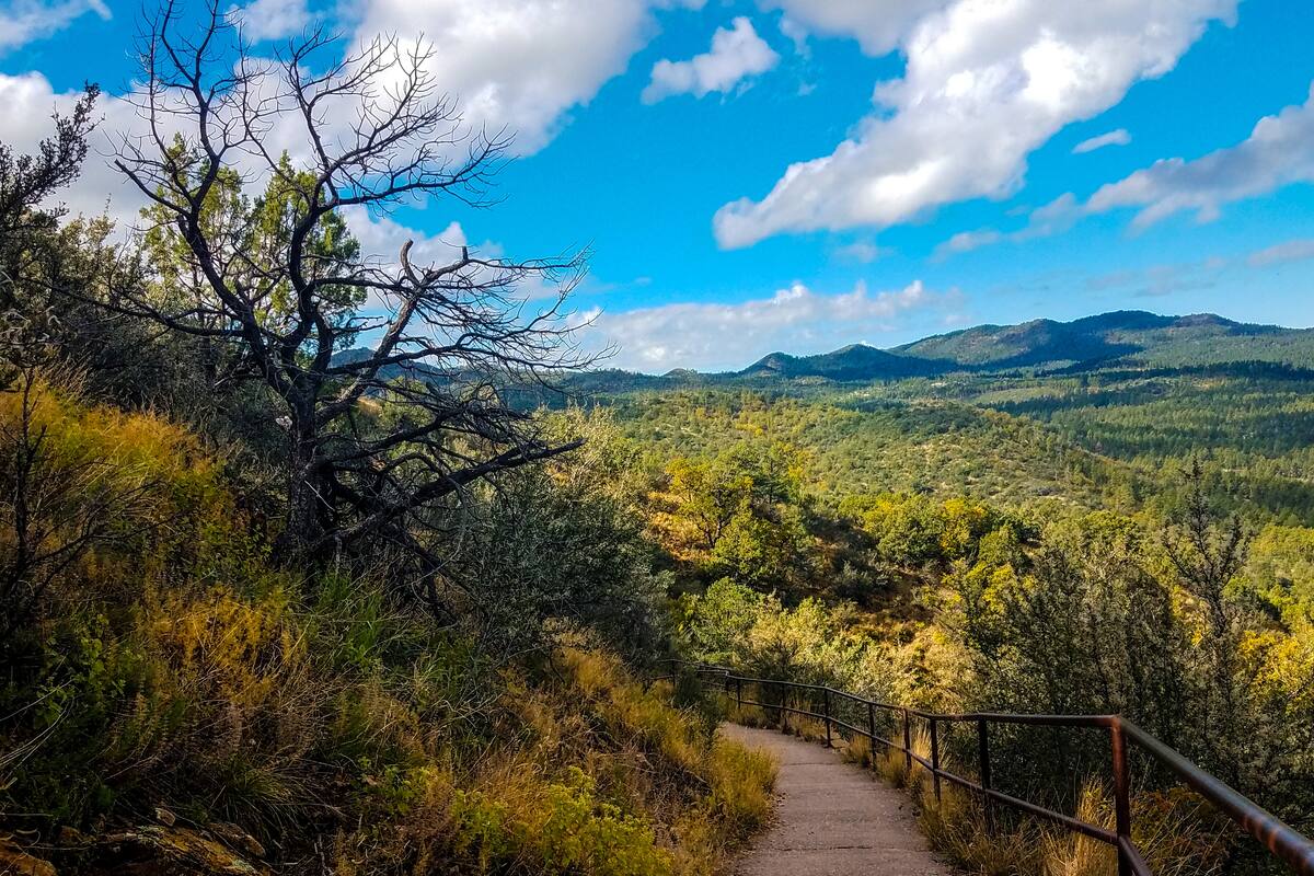 Descubre Prescott, Arizona: bosque, senderos y aventura en el corazón del Estado del Gran Cañón