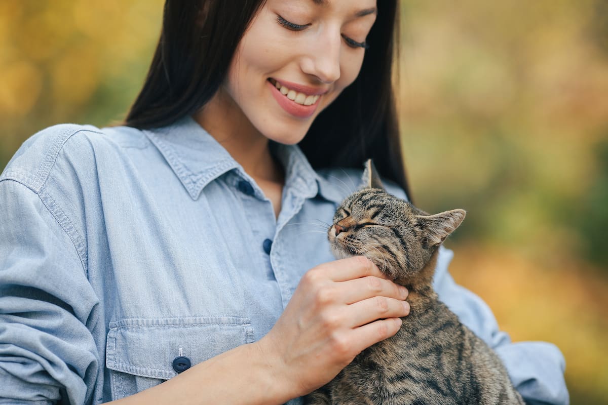 Hablarle a tu gato como si fuera un bebé es la mejor forma de comunicarte con él porque el tono agudo de su dueño reduce su estrés y capta de inmediato su atención, según veterinarios