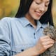 Hablarle como bebé al gato reduce su estrés