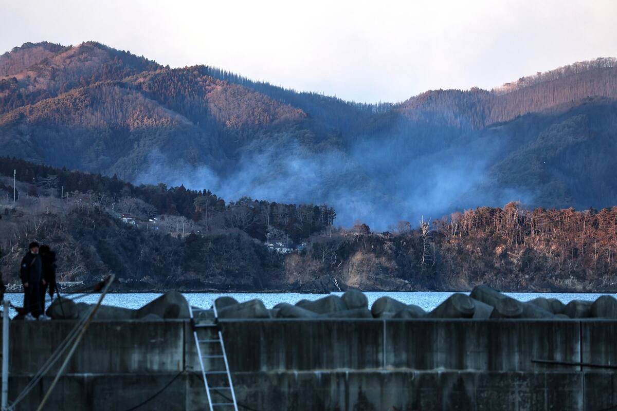 Continuan incendios forestales en Japón