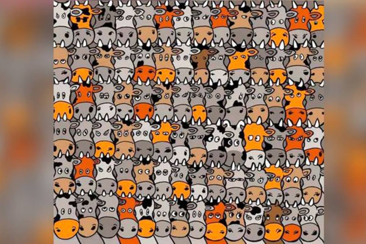 Respuestas de algunos retos virales visuales