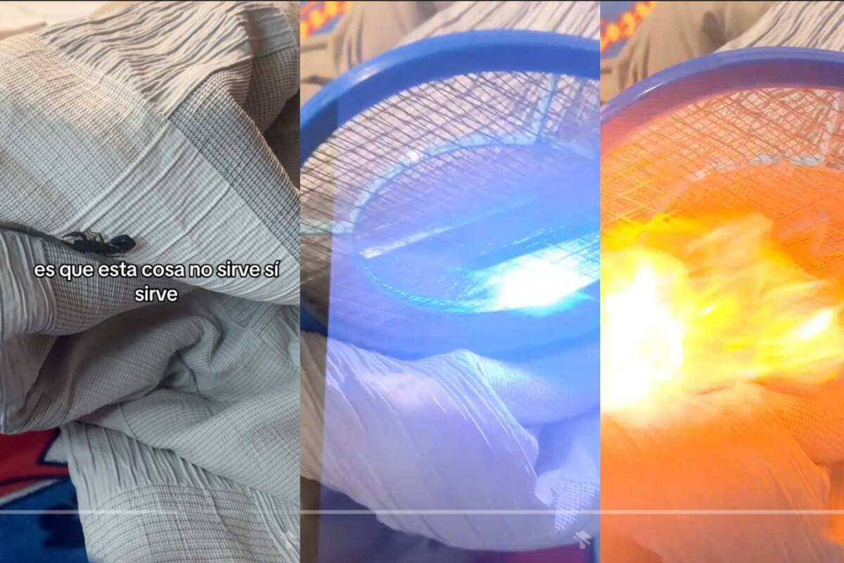 Mujer intenta matar un alacrán con raqueta eléctrica pero casi incendia su habitación
