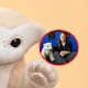 Así son las mascotas robóticas con IA que ofrecen apoyo emocional