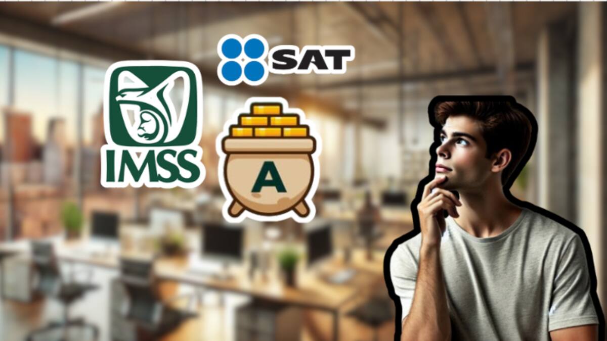 ¿Qué sigue después de tener mi primer empleo? Trámites importantes, alta en IMSS y todo lo que necesitas saber